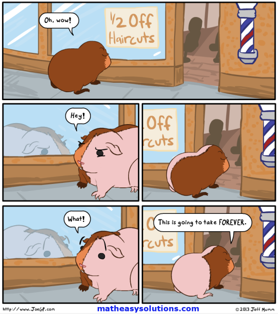 m136-half-off-hair-cut-hamsters